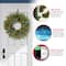 24" Norwood Fir Wreath With Multicolored LED Lights